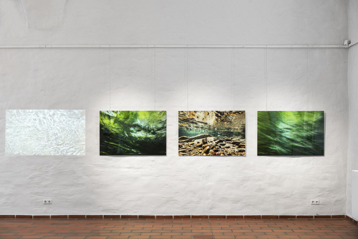 In einer Reihe an der Wand: drei Fotoaufnahmen, eine Videoproduktion von Flüssen