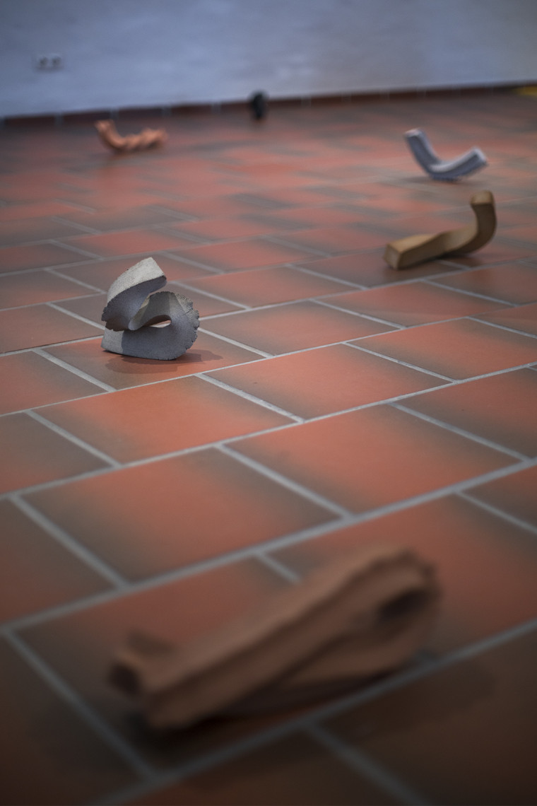 Ausstellungsansicht "Schnittblumenwiese" von Anna Pasco Bolta (2021). © Anna Pasco Bolta