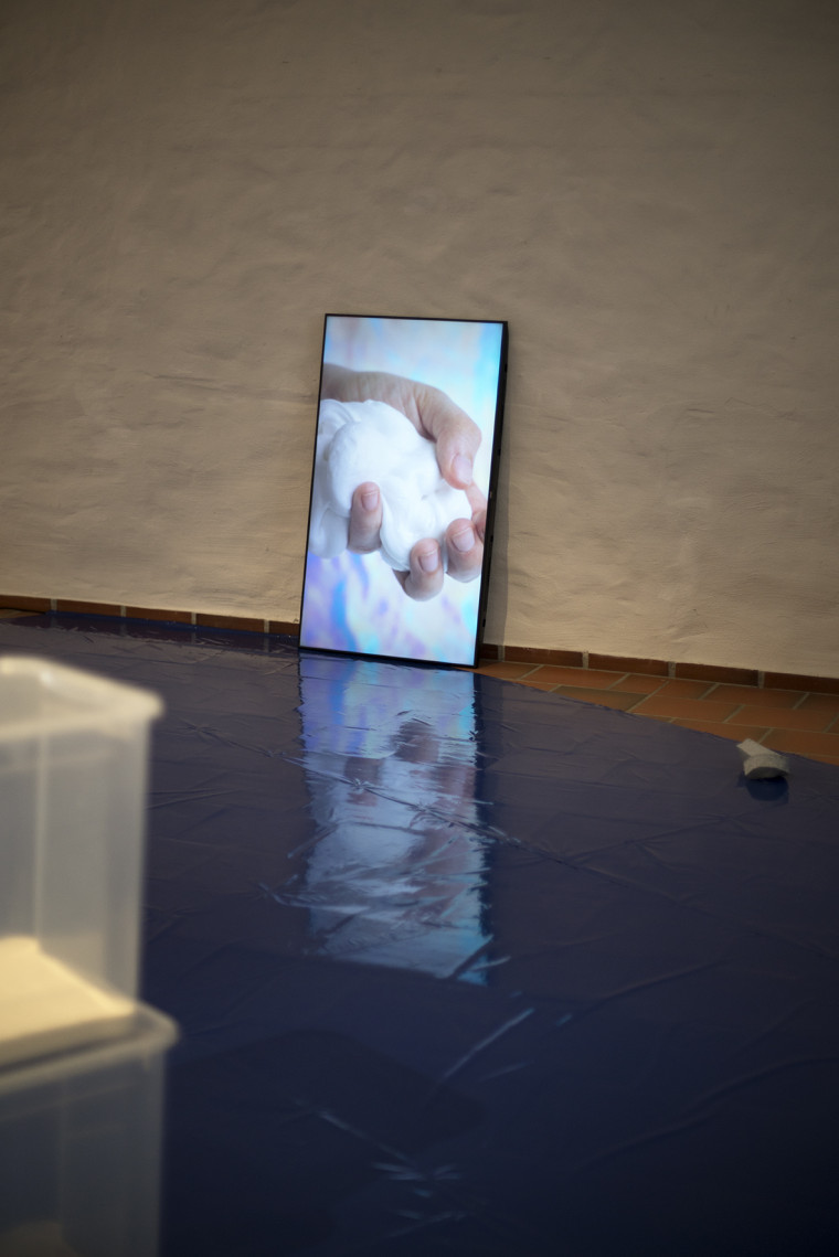 Ausstellungsansicht "Schnittblumenwiese" von Anna Pasco Bolta (2021). © Anna Pasco Bolta