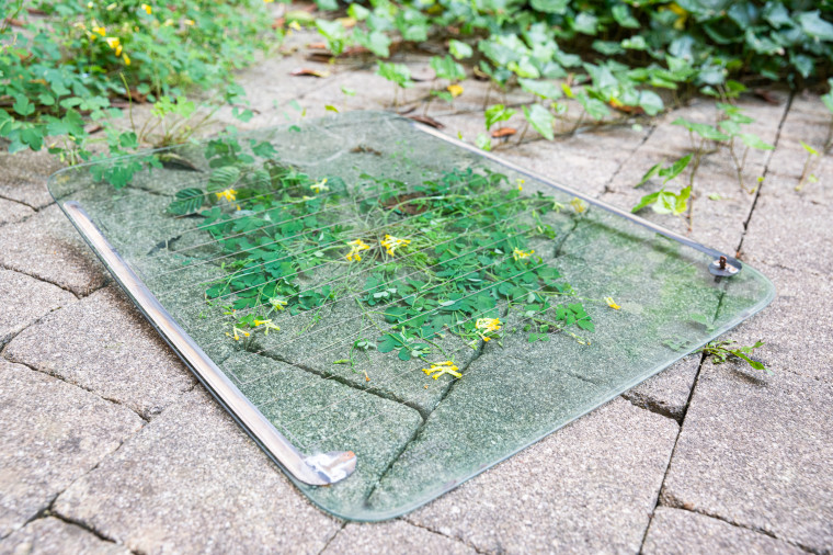 Ausstellungsansicht "She Will no Longer Be Embedded" von Veronika Haller und Simone Körner (2022). © Fotostudio Sienz