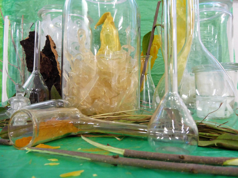 Gläser unterschiedlicher Form gefüllt mit verschiedenen Bestandteilen von Bäumen
