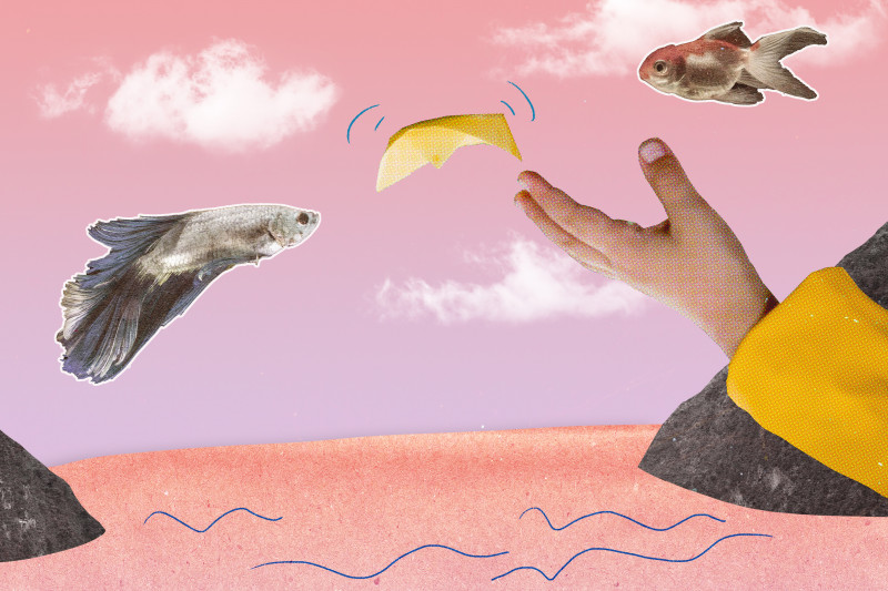 Bildcollage fliegende Fische, Hand